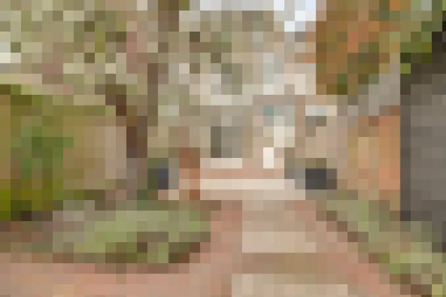 Regentesseplantsoen 13 Gouda thumbnail 45