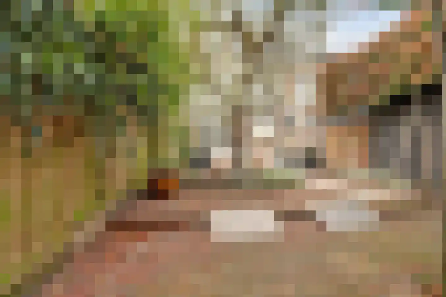Regentesseplantsoen 13 Gouda thumbnail 47