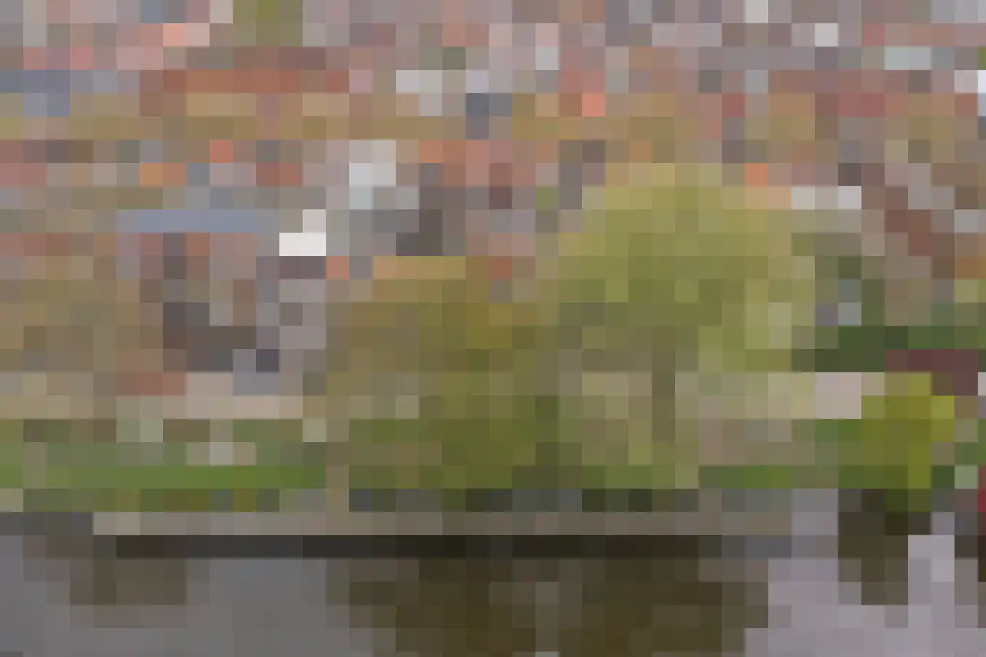 Regentesseplantsoen 13 Gouda thumbnail 50