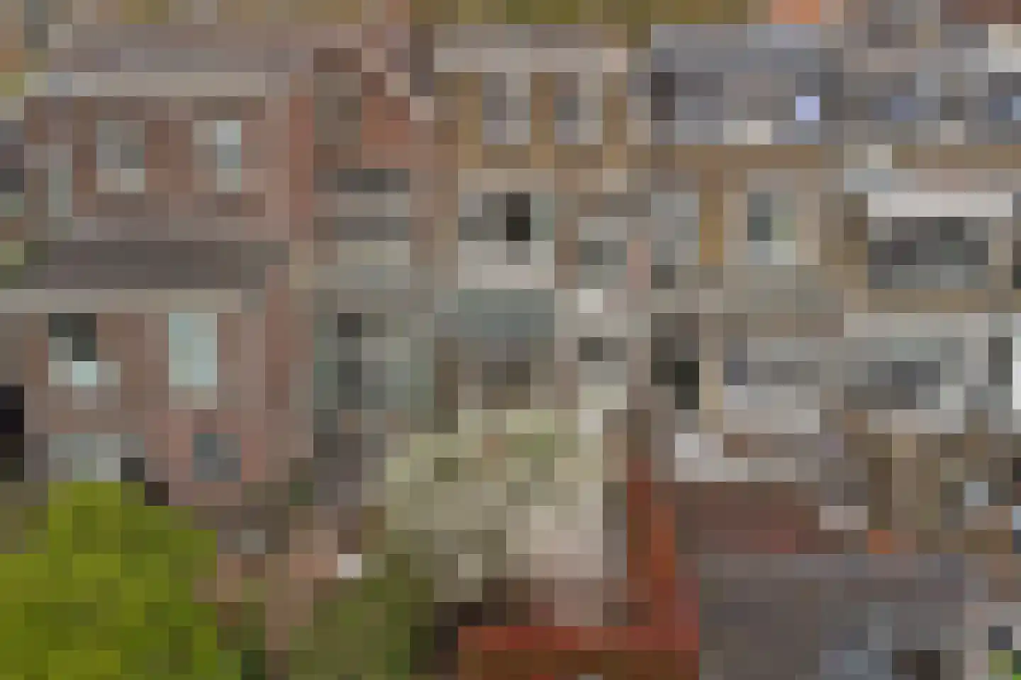 Regentesseplantsoen 13 Gouda thumbnail 51