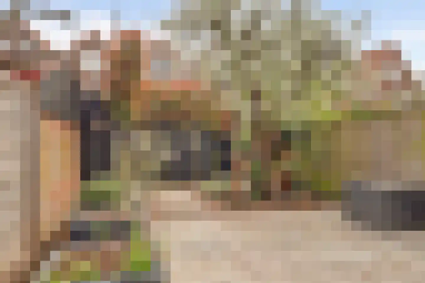 Regentesseplantsoen 13 Gouda thumbnail 6