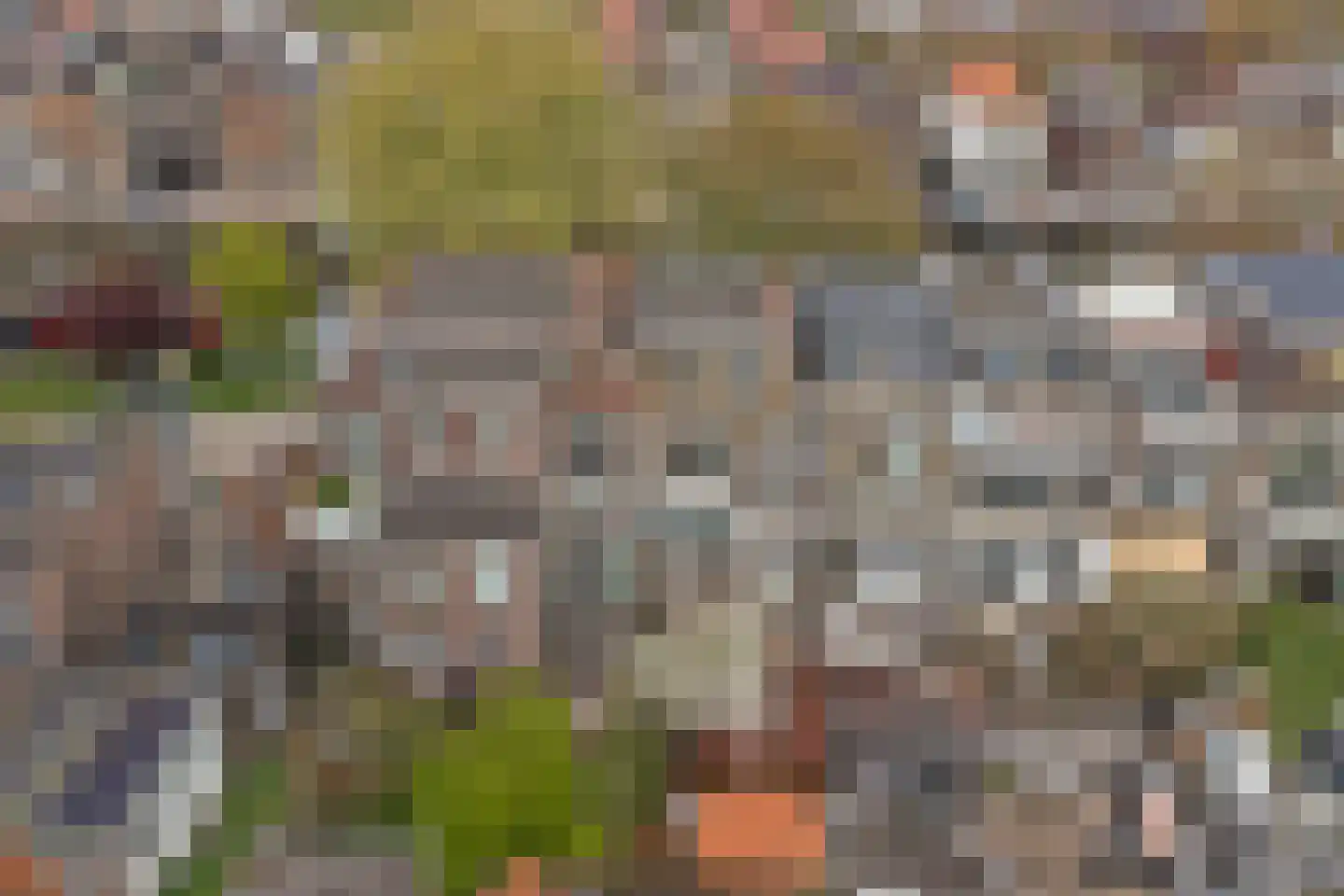 Regentesseplantsoen 13 Gouda thumbnail 7