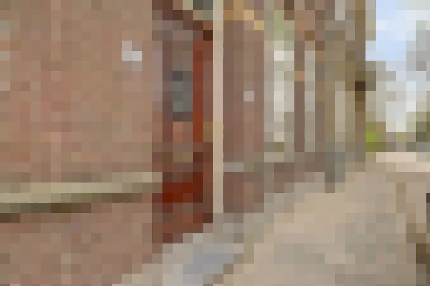 Regentesseplantsoen 13 Gouda thumbnail 8