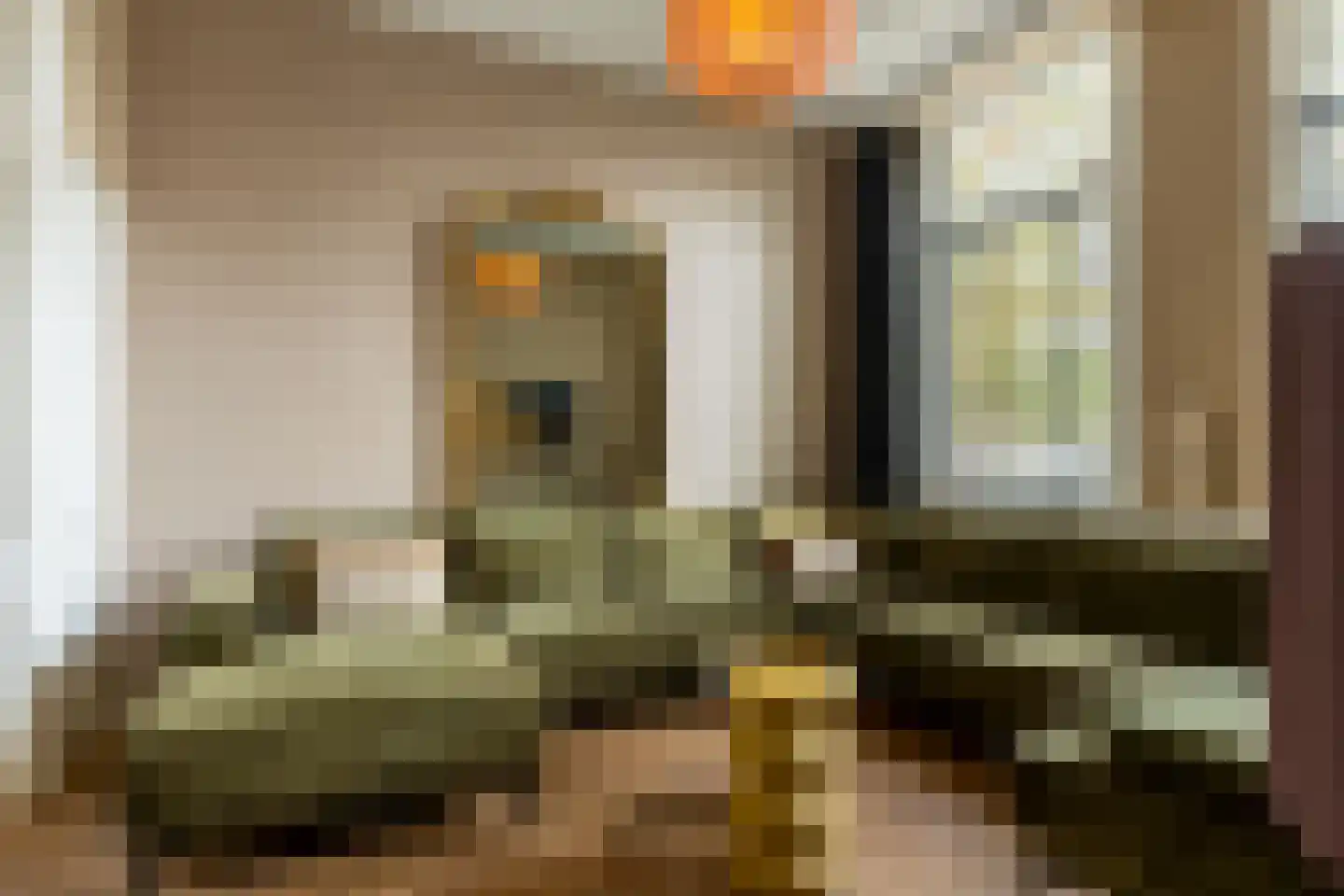 Regentesseplantsoen 15 Gouda thumbnail 13