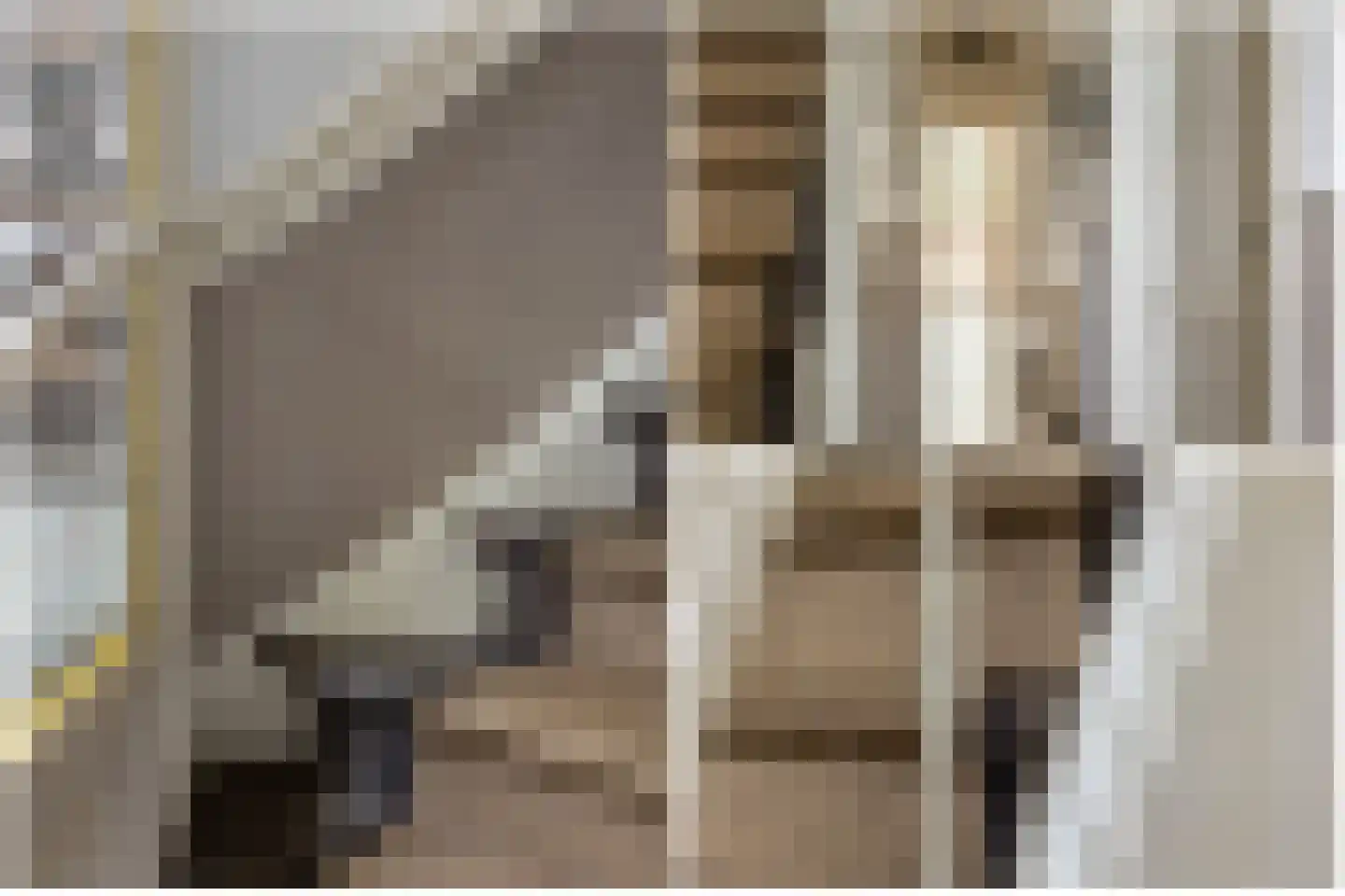 Regentesseplantsoen 15 Gouda thumbnail 42