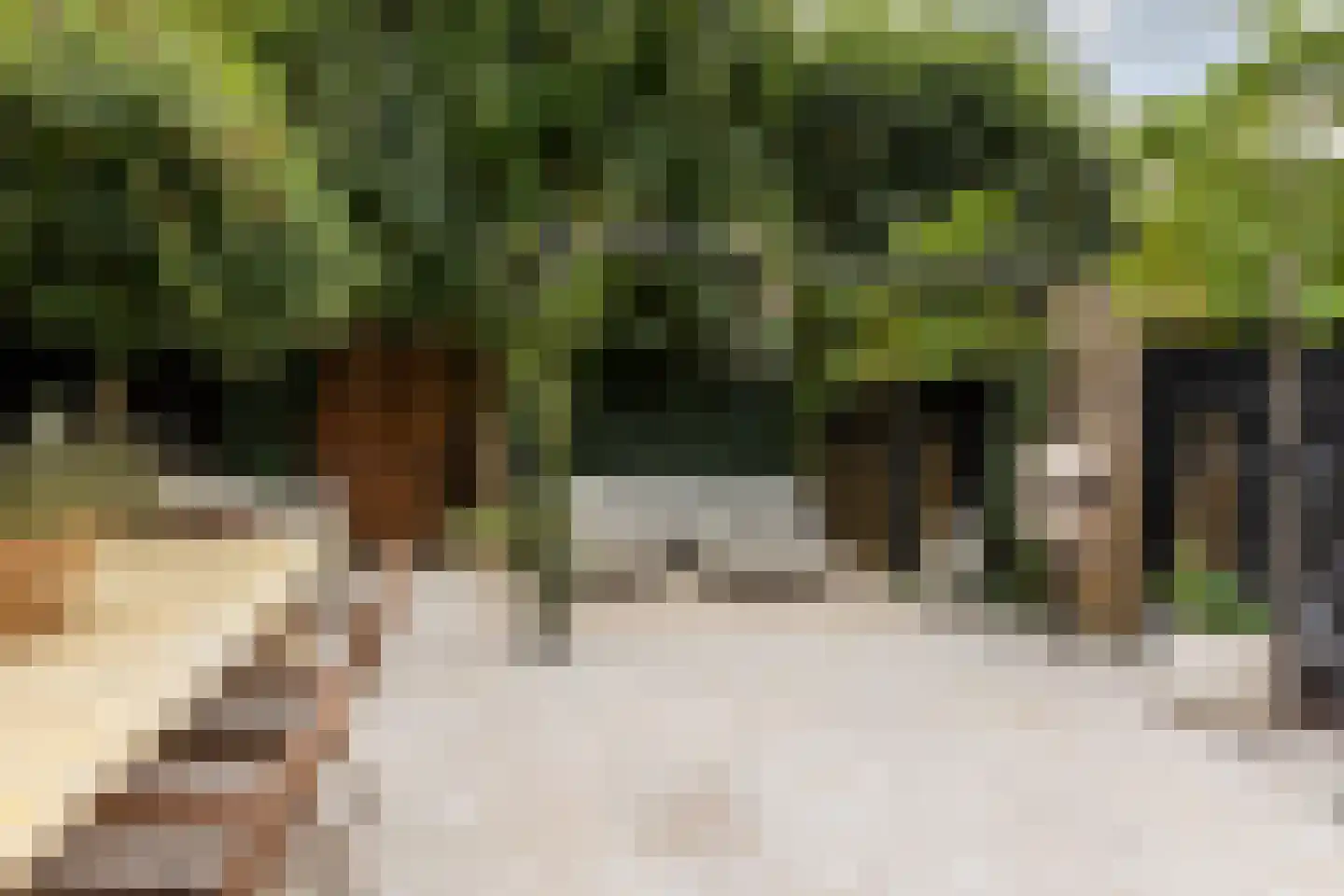 Regentesseplantsoen 15 Gouda thumbnail 7