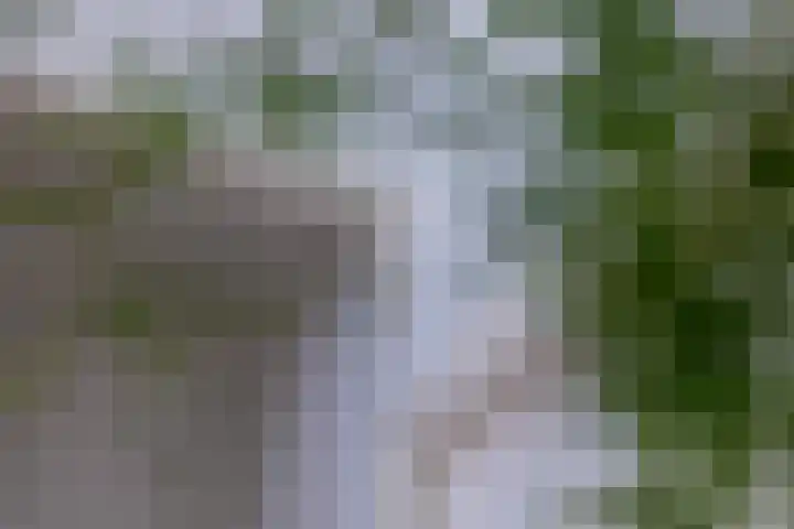 Regentesseplantsoen 26 Gouda thumbnail 15