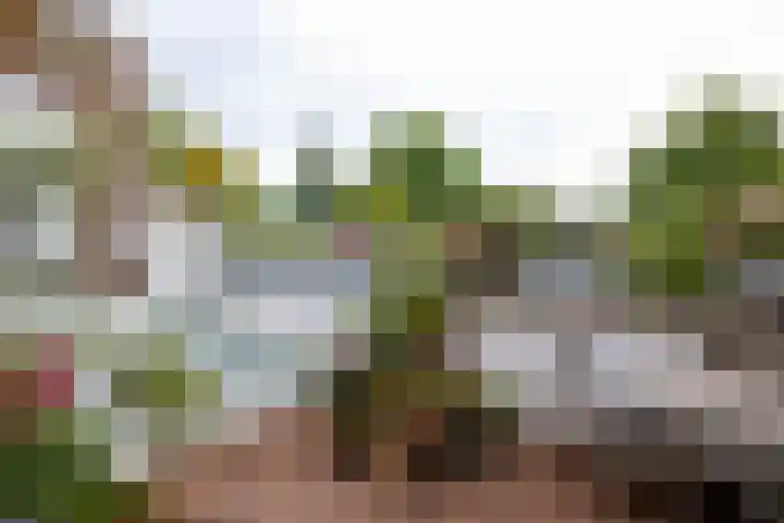 Regentesseplantsoen 26 Gouda thumbnail 25