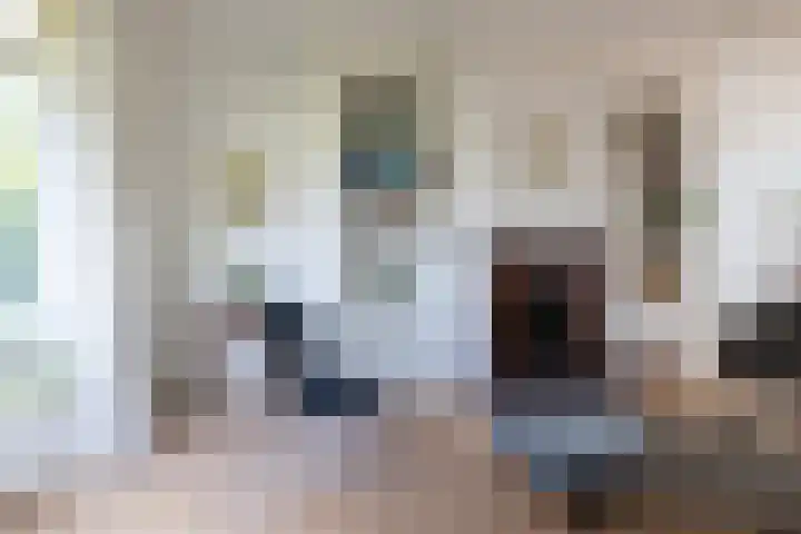 Regentesseplantsoen 26 Gouda thumbnail 32