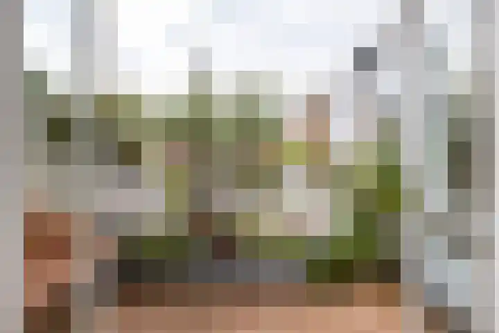 Regentesseplantsoen 26 Gouda thumbnail 38
