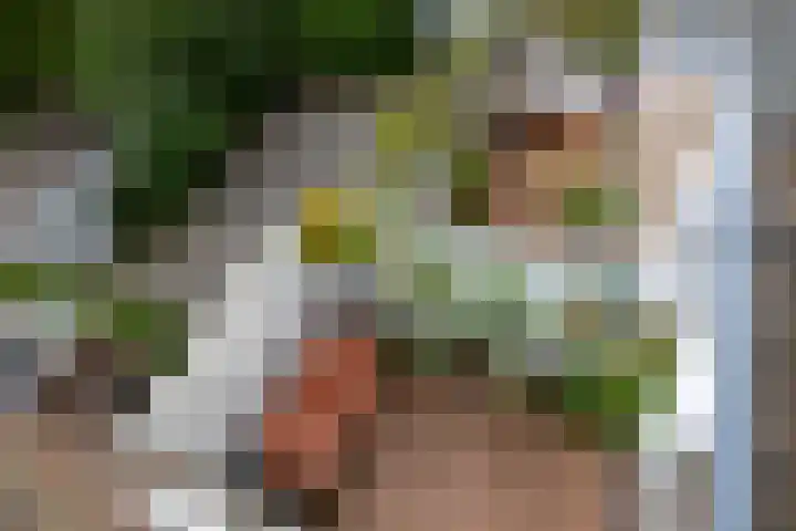 Regentesseplantsoen 26 Gouda thumbnail 40