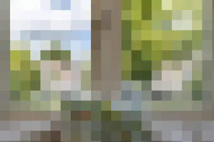 Regentesseplantsoen 26 Gouda thumbnail 44