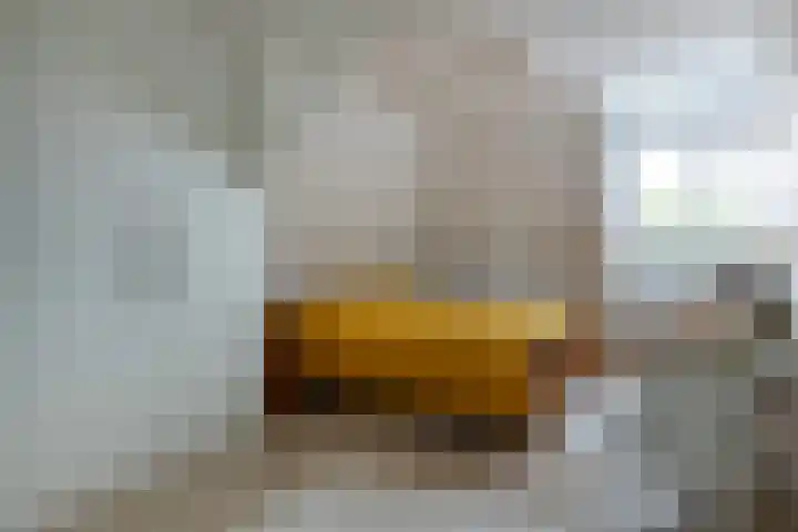 Regentesseplantsoen 26 Gouda thumbnail 48