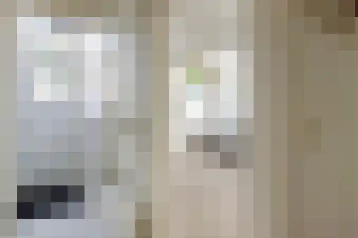 Regentesseplantsoen 26 Gouda thumbnail 5