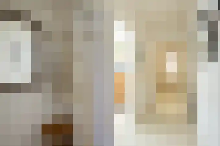 Regentesseplantsoen 26 Gouda thumbnail 6