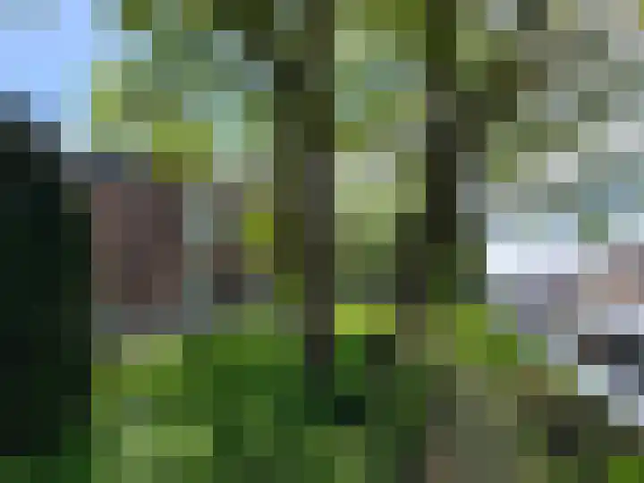 Regentesseplantsoen 26 Gouda thumbnail 64