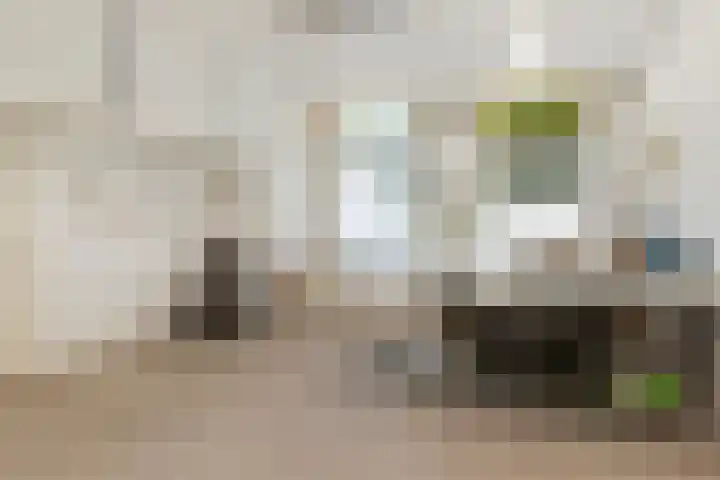Regentesseplantsoen 26 Gouda thumbnail 8