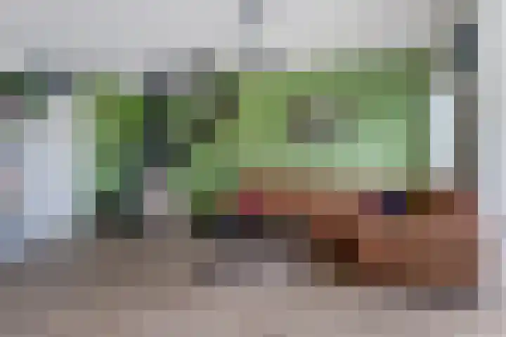 Regentesseplantsoen 33 Gouda thumbnail 12