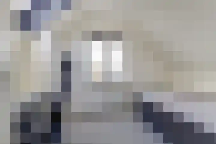 Regentesseplantsoen 33 Gouda thumbnail 20