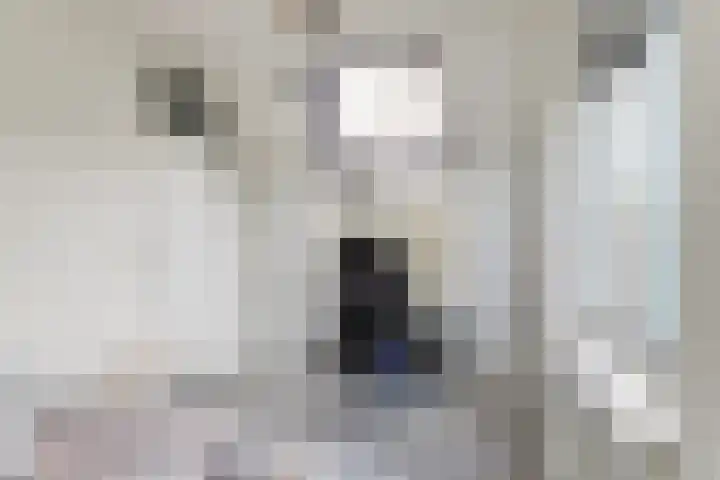 Regentesseplantsoen 33 Gouda thumbnail 21