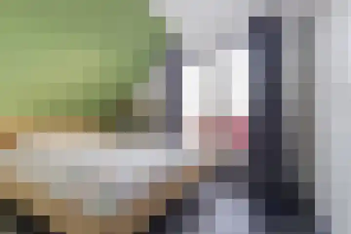Regentesseplantsoen 33 Gouda thumbnail 23
