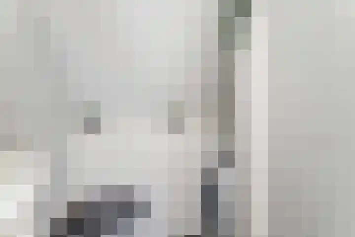 Regentesseplantsoen 33 Gouda thumbnail 26
