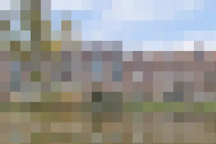 Regentesseplantsoen 33 Gouda thumbnail 4