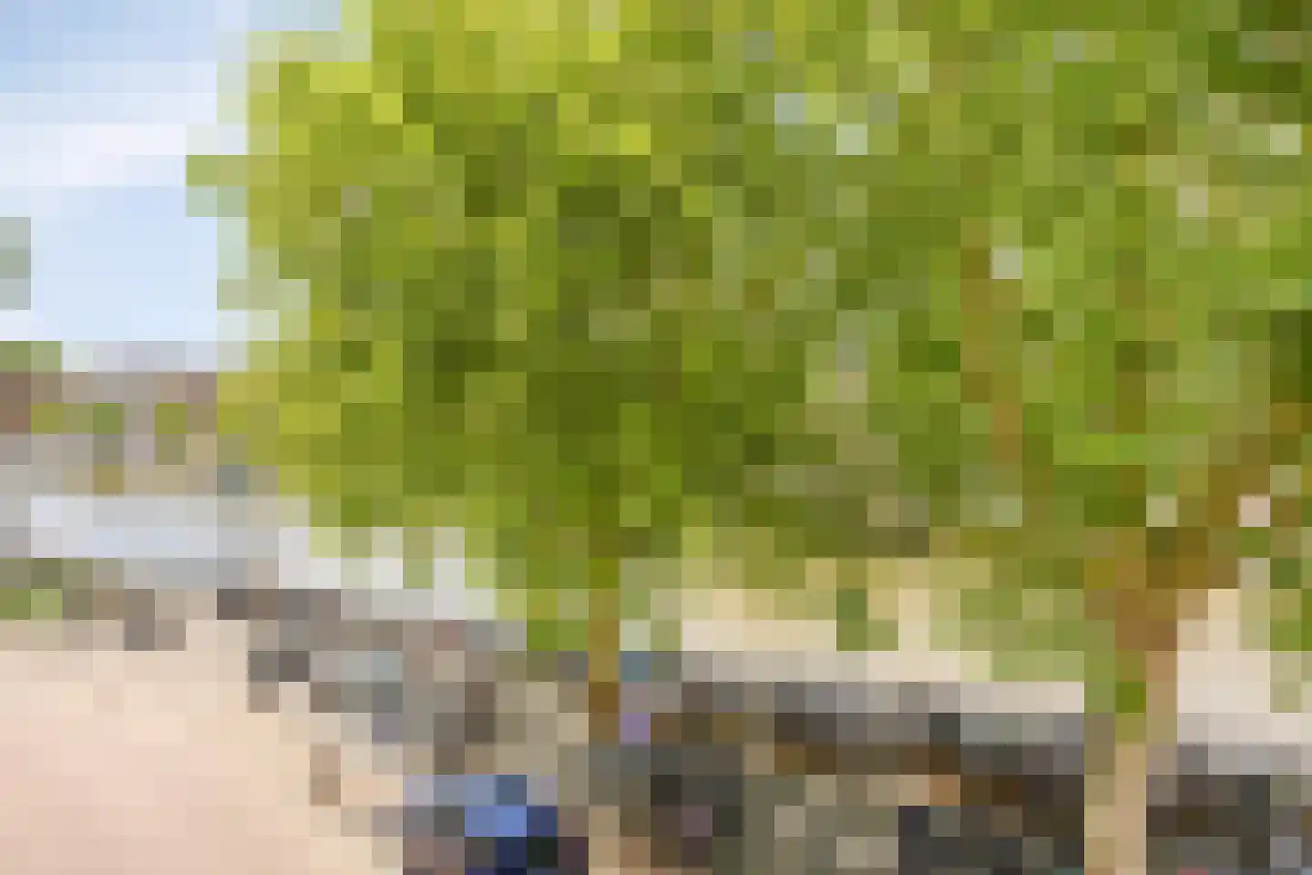 Regentesseplantsoen 51 Gouda thumbnail 26