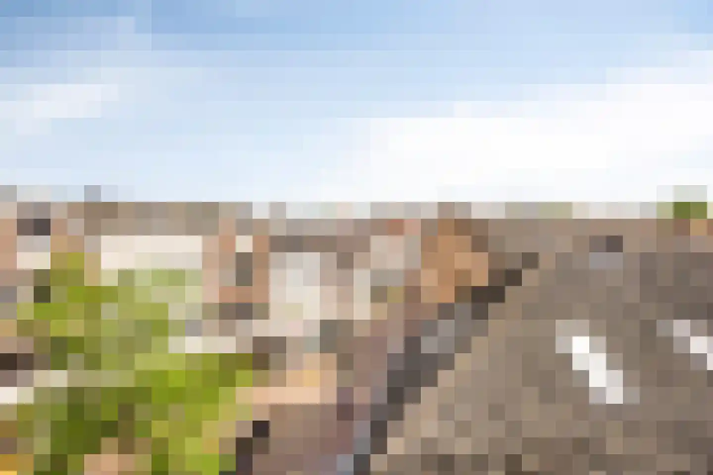 Regentesseplantsoen 51 Gouda thumbnail 40