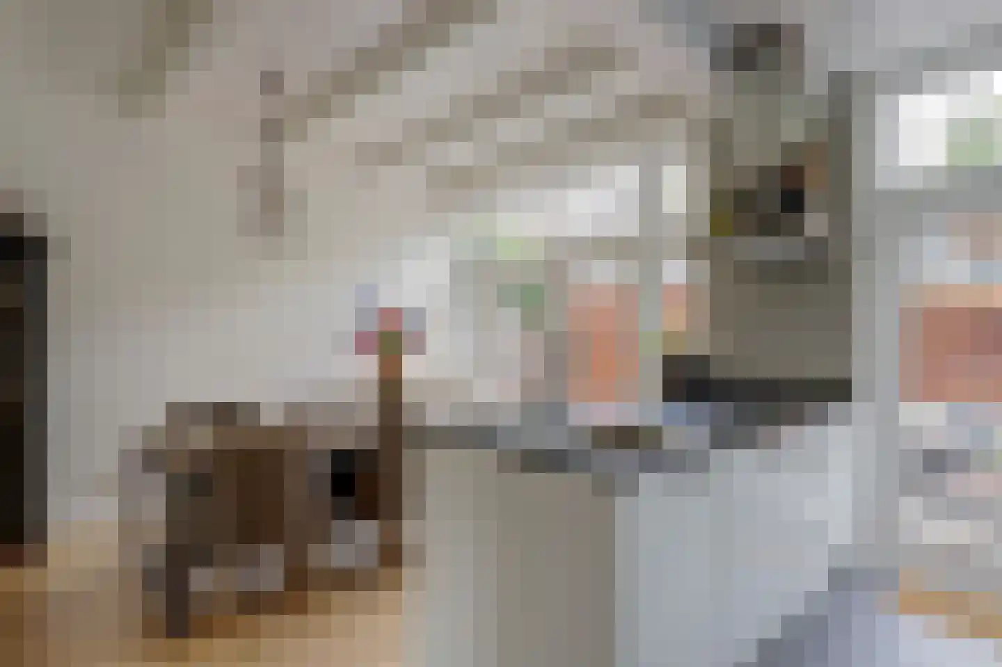 Regentesseplantsoen 8 Gouda thumbnail 12