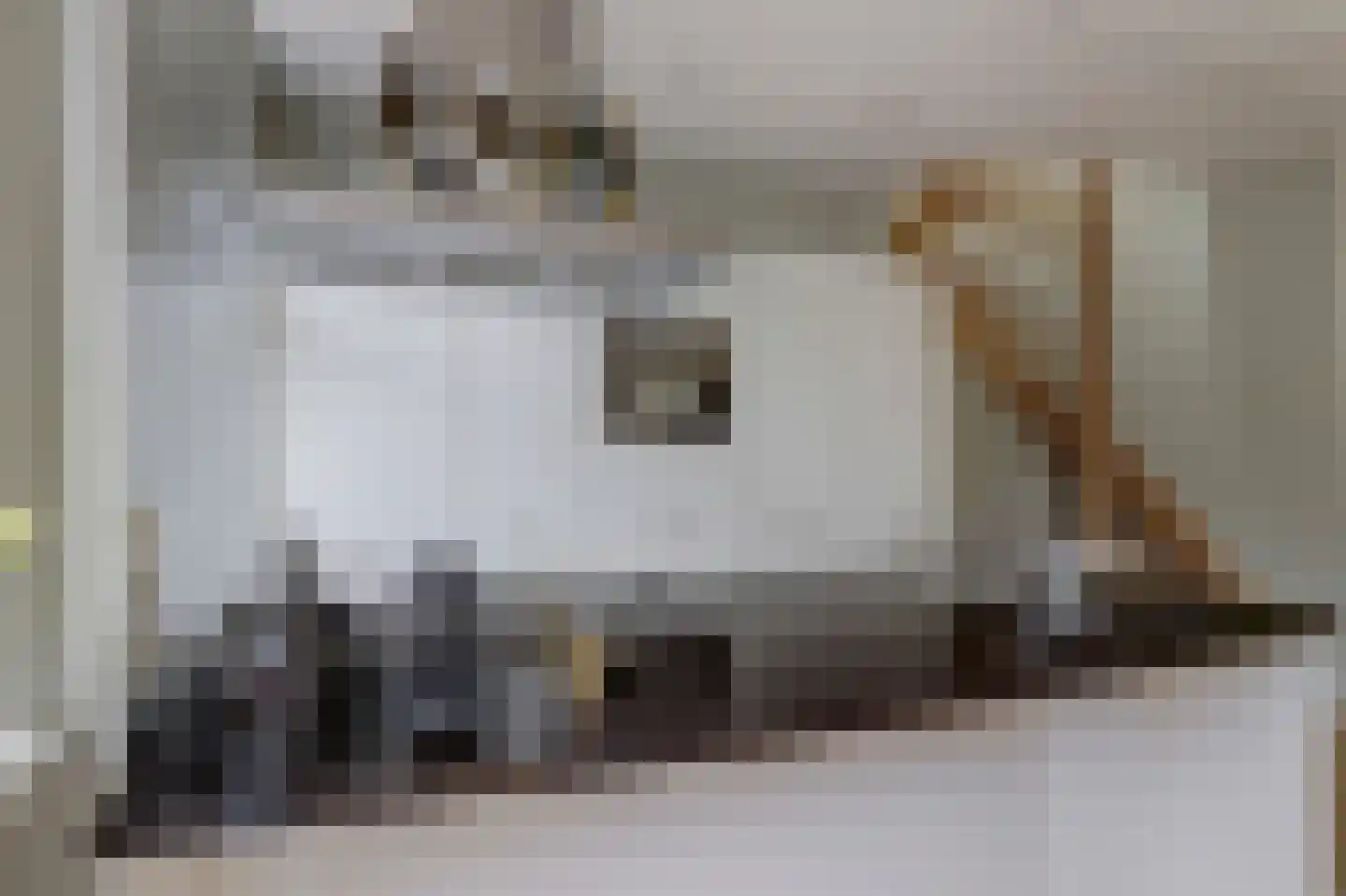 Regentesseplantsoen 8 Gouda thumbnail 14