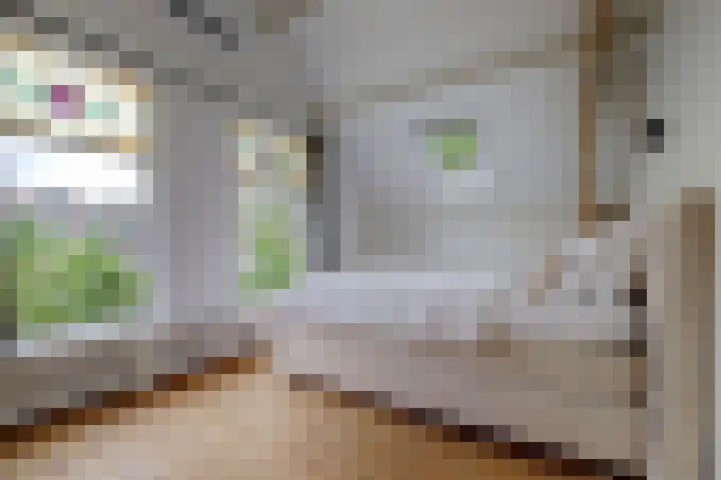Regentesseplantsoen 8 Gouda thumbnail 17