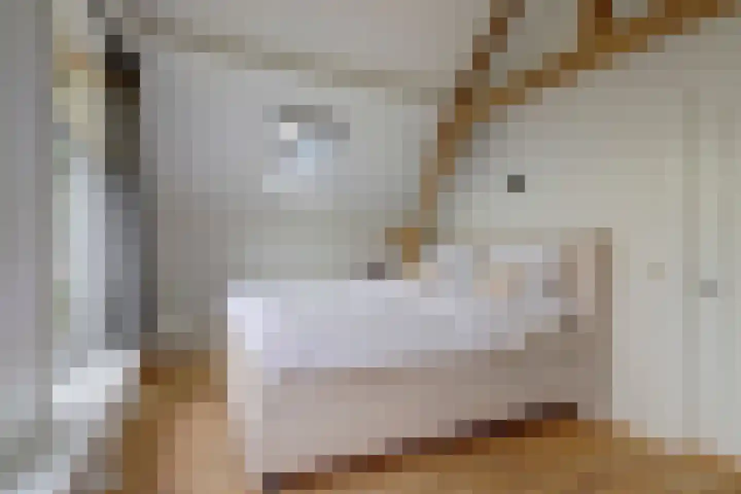 Regentesseplantsoen 8 Gouda thumbnail 18