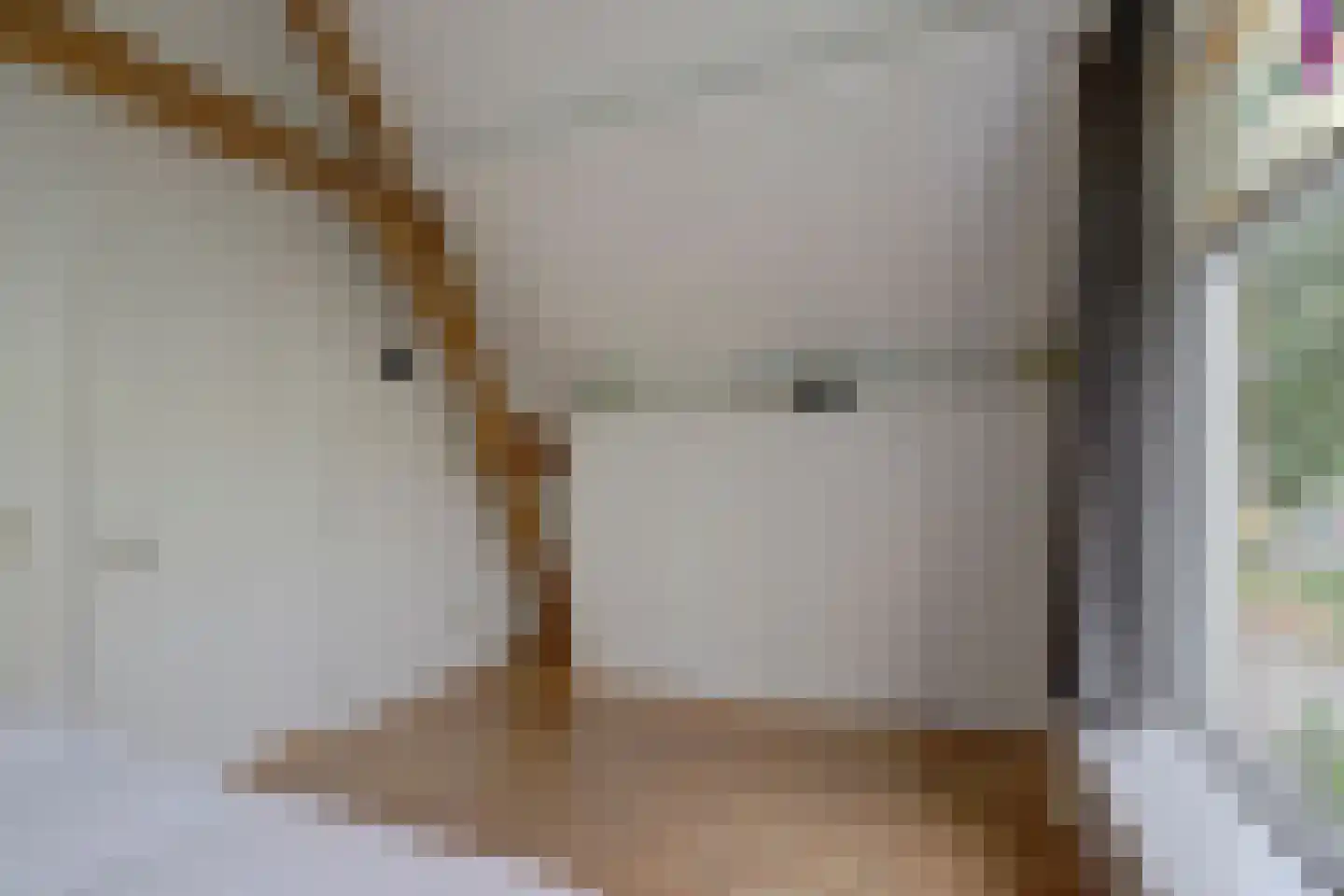 Regentesseplantsoen 8 Gouda thumbnail 19