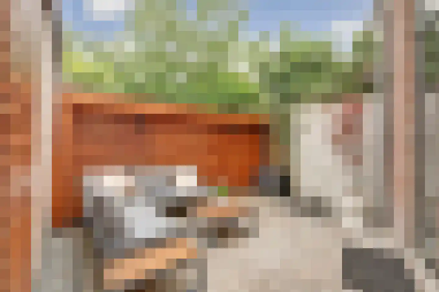 Regentesseplantsoen 8 Gouda thumbnail 25