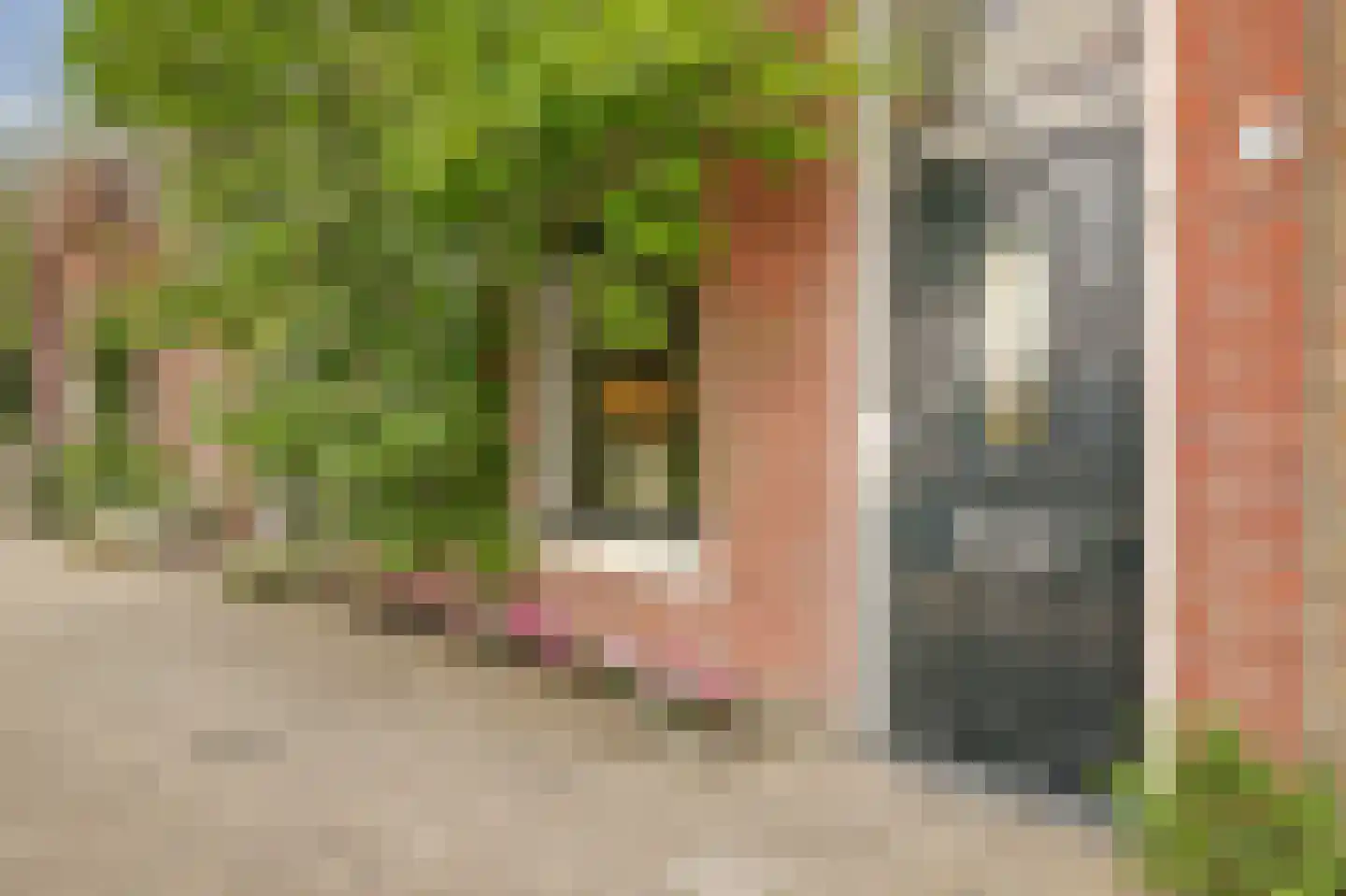 Regentesseplantsoen 8 Gouda thumbnail 4
