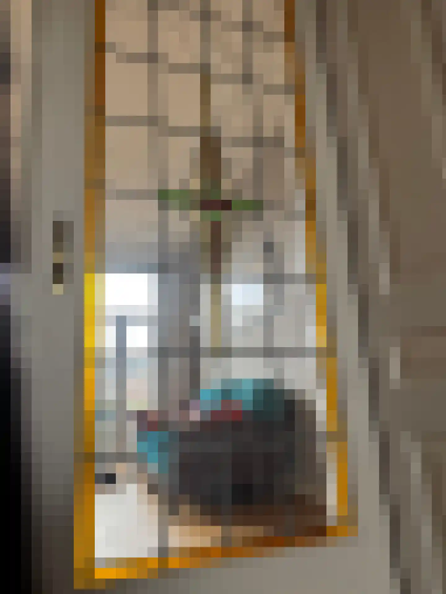 Regentesseplein 6 Den Haag thumbnail 15