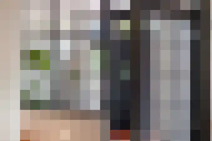 Regentesseplein 7 Breda thumbnail 11