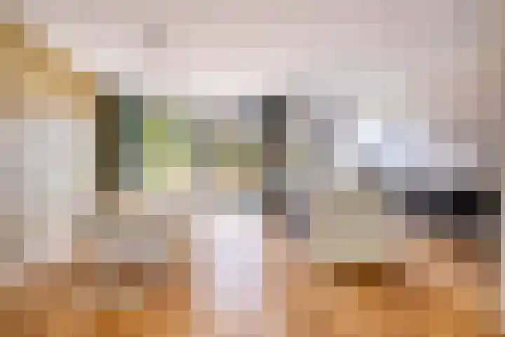 Regentesseplein 7 Breda thumbnail 15