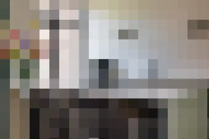 Regentesseplein 7 Breda thumbnail 23