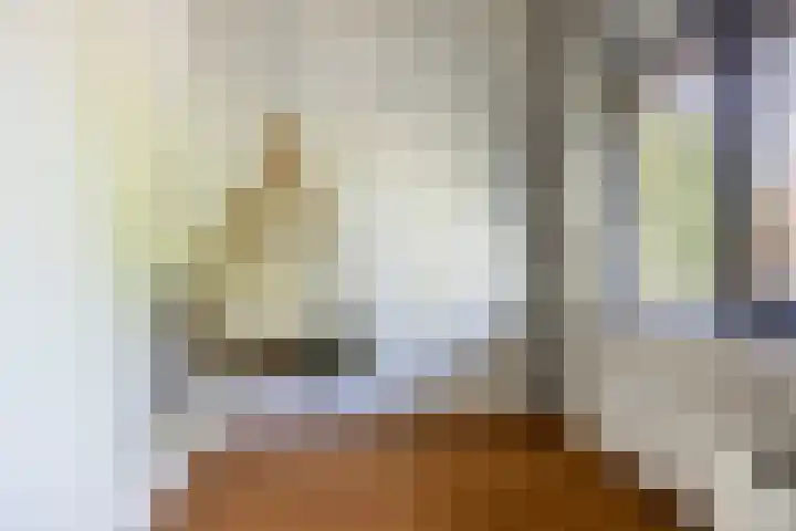 Regentesseplein 7 Breda thumbnail 40
