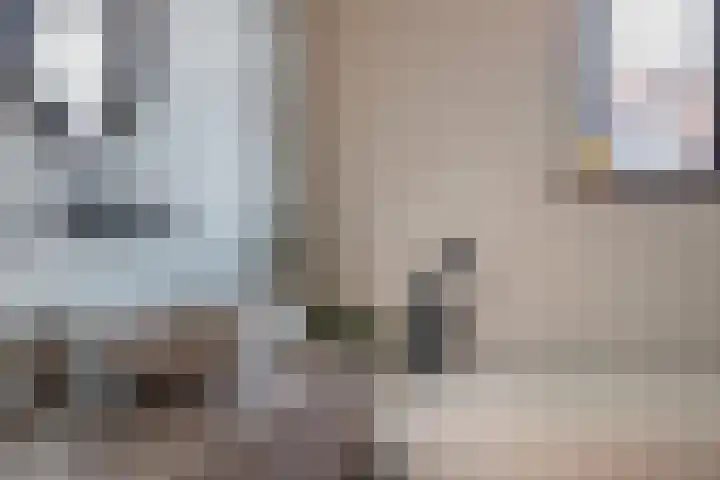 Regentesseplein 7 Breda thumbnail 45