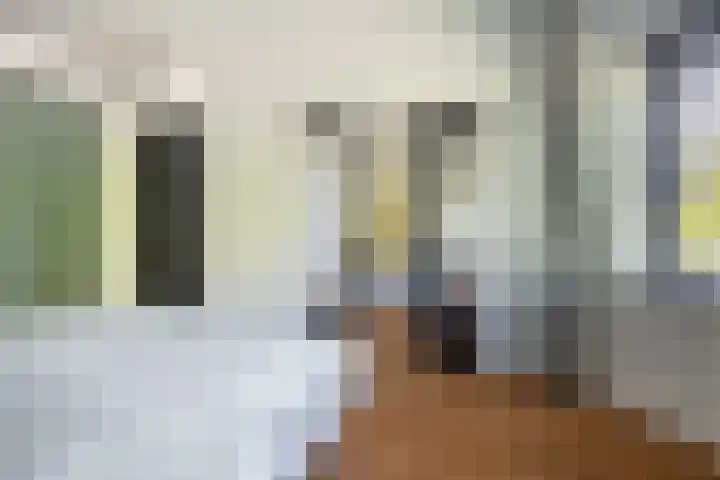 Regentesseplein 7 Breda thumbnail 5