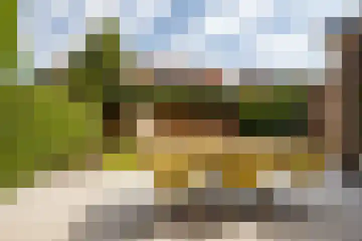 Regentesseplein 7 Breda thumbnail 62