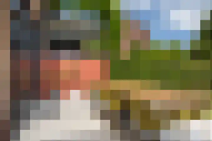 Regentesseplein 7 Breda thumbnail 63