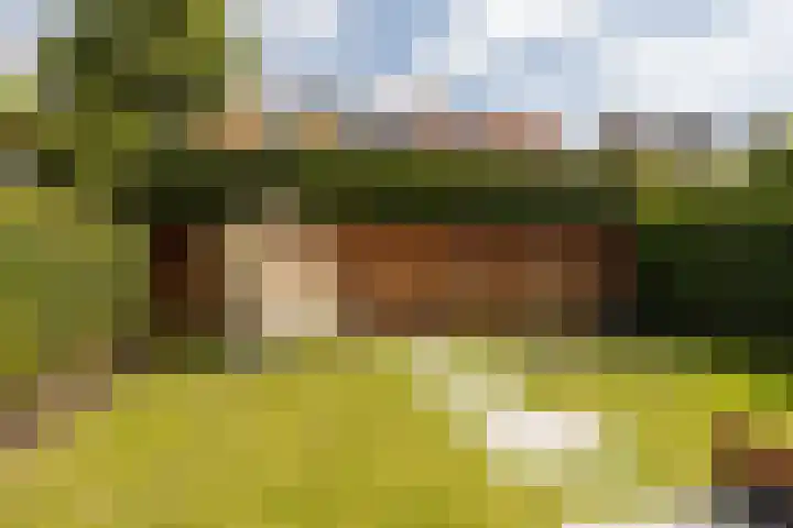 Regentesseplein 7 Breda thumbnail 64