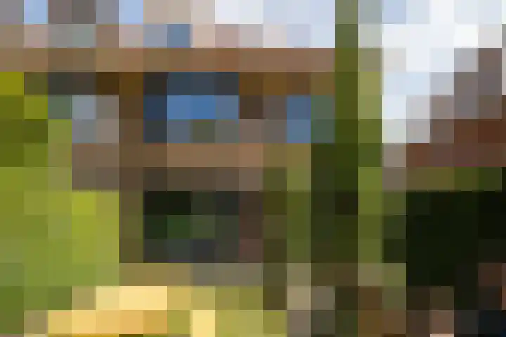 Regentesseplein 7 Breda thumbnail 68