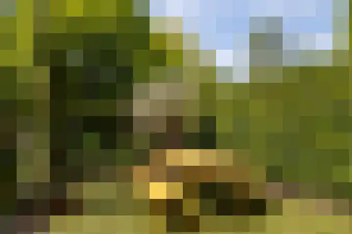 Regentesseplein 7 Breda thumbnail 69