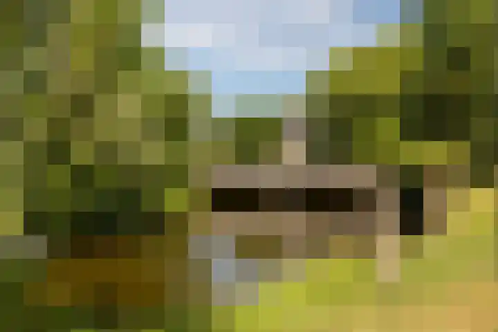 Regentesseplein 7 Breda thumbnail 71