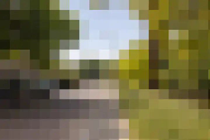 Regentesseplein 7 Breda thumbnail 72